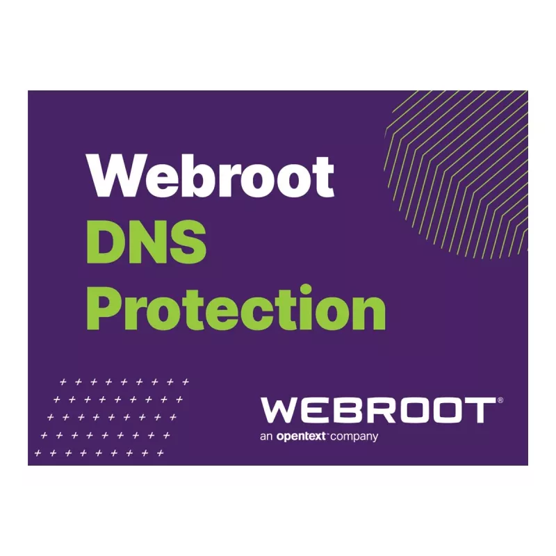 Webroot DNS Protection su GSM Console | 1 metai | Licencija 10-99 vartotojų