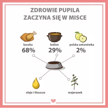 PUPIL Premium All Meat Gold Duck šlapias šunų ėdalas – antis – 800 g