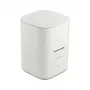 SSD dėklas DeLOCK 63331 Baltas M.2