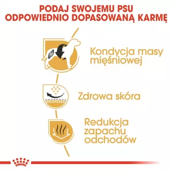 Sausas šunų ėdalas Royal Canin French Bulldog Adult 9 kg – kiauliena, 26% baltymų, 18% riebalų