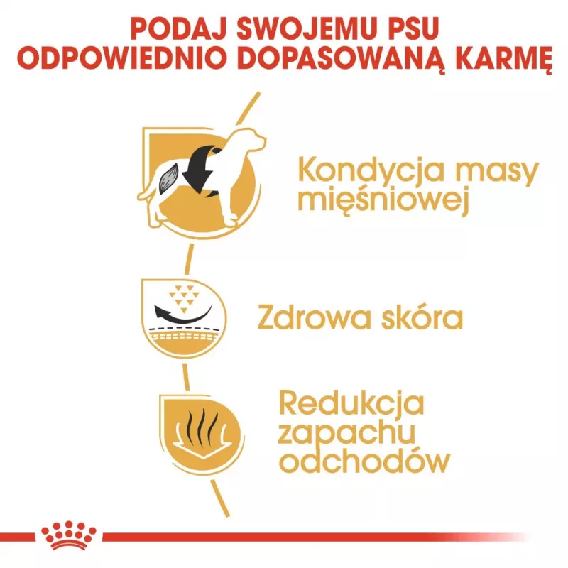 Sausas šunų ėdalas Royal Canin French Bulldog Adult 9 kg – kiauliena, 26% baltymų, 18% riebalų