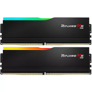 G.skill F5-6400J3239G16GX2-RM5RK Atminties modulis