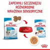 ROYAL CANIN SHN Mini Puppy padaže – šlapias ėdalas šuniukams – 12x85g