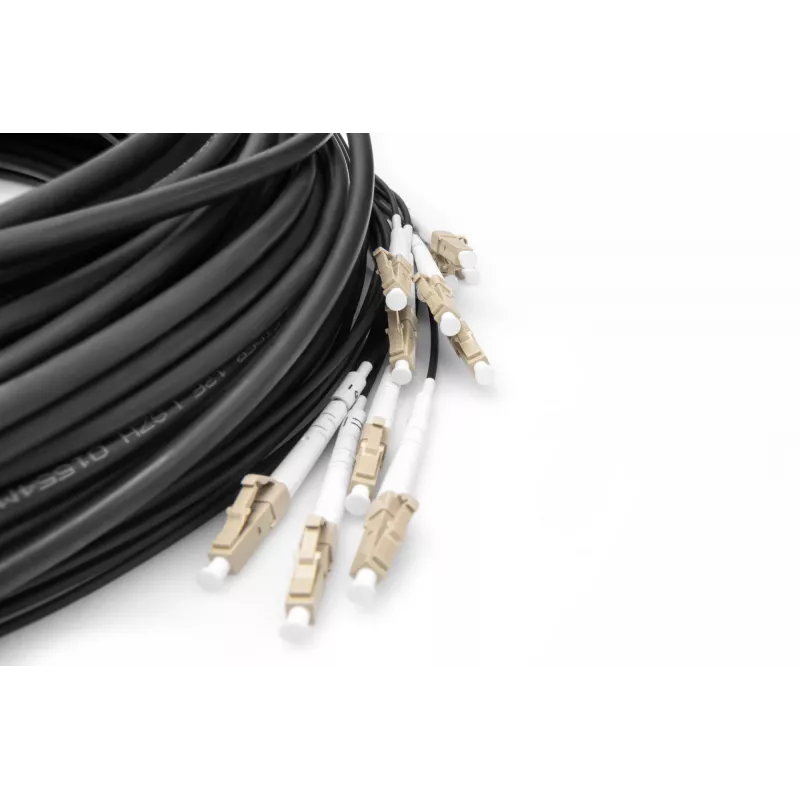 Breakout laidas Digitus DK-2433CU030BK-BBB 30m OM4 12 pluoštų LC/UPC