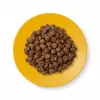 Applaws Senior sausas ėdalas katėms su vištiena, 2 kg