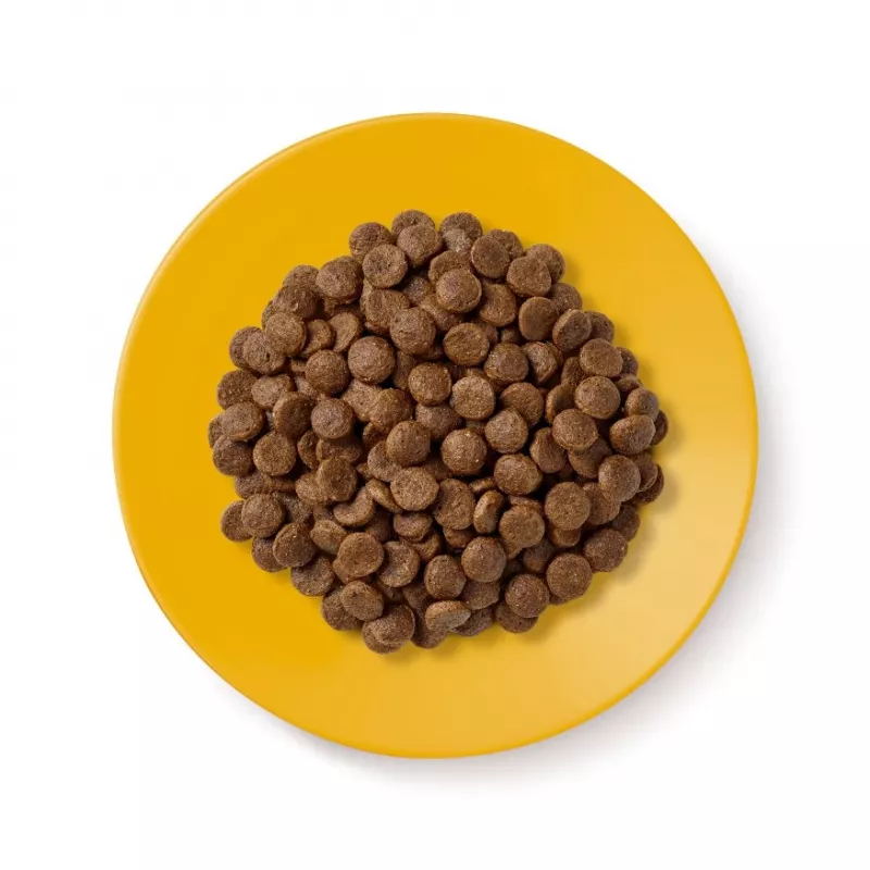 Applaws Senior sausas ėdalas katėms su vištiena, 2 kg