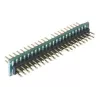 IDE adapteris DeLOCK 65090 juodas žalias