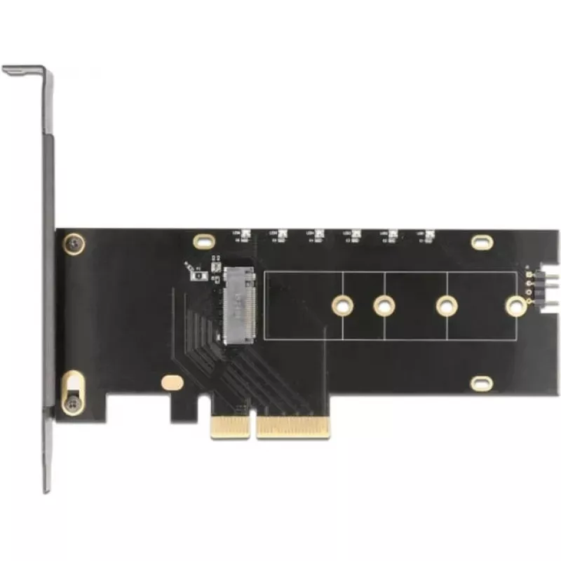 DeLOCK 89013 vidinė M.2 PCIe kortelė su aušintuvu ir LED apšvietimu