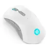 Žaidimų pelė Lenovo Legion M600 RF belaidė + Bluetooth + USB Type-A, abirankė, 16000 DPI, 9 mygtukų, įkraunama