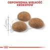 Royal Canin Outdoor sausas kačių maistas 2 kg