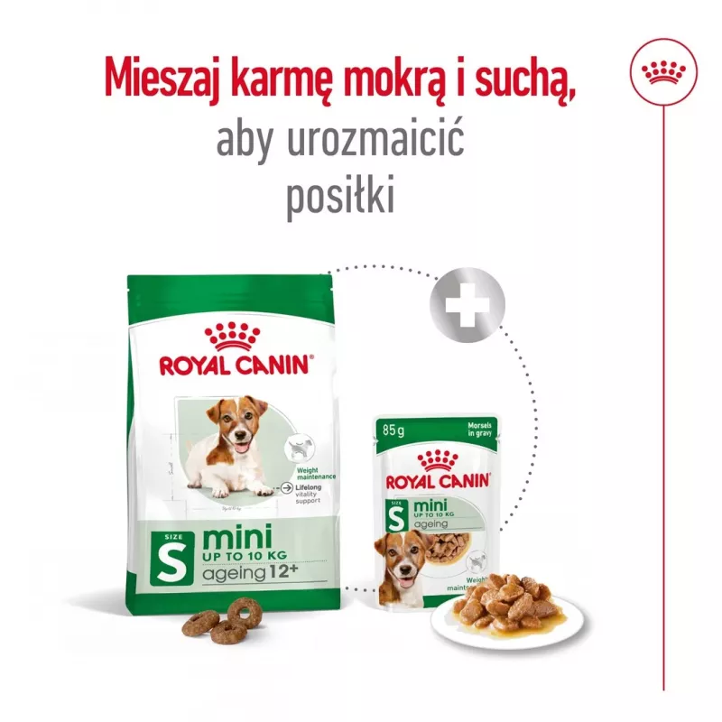 ROYAL CANIN Mini Ageing Adult +12 – sausas šunų ėdalas – 3,5 kg