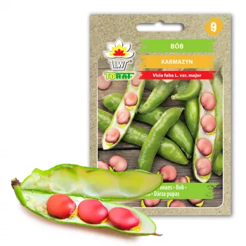 Pupelės „Crimson Bean Toraf“ daržovių sėklos, 30g pakuotė