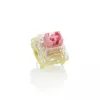 Mechaninis jungiklis Ducky TTC Gold Pink DSK110-NPA1 linijinis 37g jėga