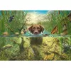 Mark Fredrickson: dog love - rudas labradoras vėsiame vandenyje, Dėlionė 1000 detalių