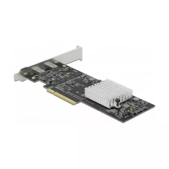 PCI Express x8 kortelė DeLOCK 89009, 2x USB-C, 20 Gbps