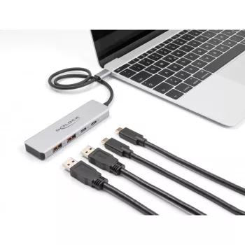 DeLOCK USB šakotuvas USB Type-C 10 Gbps 2x Type-A 2x Type-C 35 cm laidas