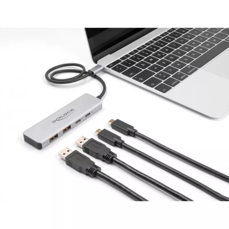 DeLOCK USB šakotuvas USB Type-C 10 Gbps 2x Type-A 2x Type-C 35 cm laidas