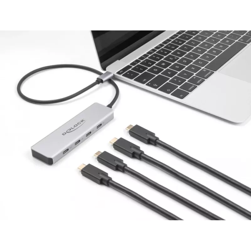 DeLOCK USB Type-C Hub 10 Gbps 4 prievadai aliuminis pilkas