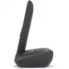 Belaidis analoginis/DECT telefonas Gigaset C575A
