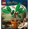 LEGO Haris Poteris TM 76433 Mandragora