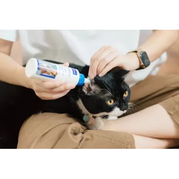 Ausų priežiūros tirpalas VIRBAC EPI-OTIC 125 ml – veterinarinis ausų valiklis šunims ir katėms