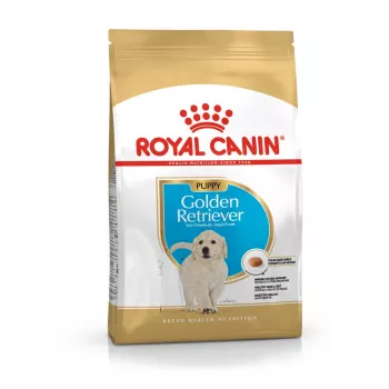 Sausas šunų ėdalas Royal Canin Golden Retriever Junior 12 kg – paukštiena, 29% baltymų, 16% riebalų