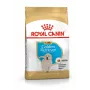 Sausas šunų ėdalas Royal Canin Golden Retriever Junior 12 kg – paukštiena, 29% baltymų, 16% riebalų