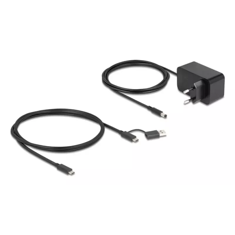 DeLOCK 64326 USB 3.2 Gen 2 (3.1 Gen 2) Type-C centrinė stotelė 10000 Mbit/s juoda