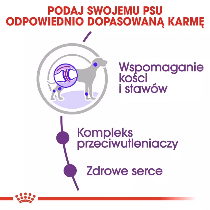 ROYAL CANIN Giant Adult – sausas šunų ėdalas – 15 kg