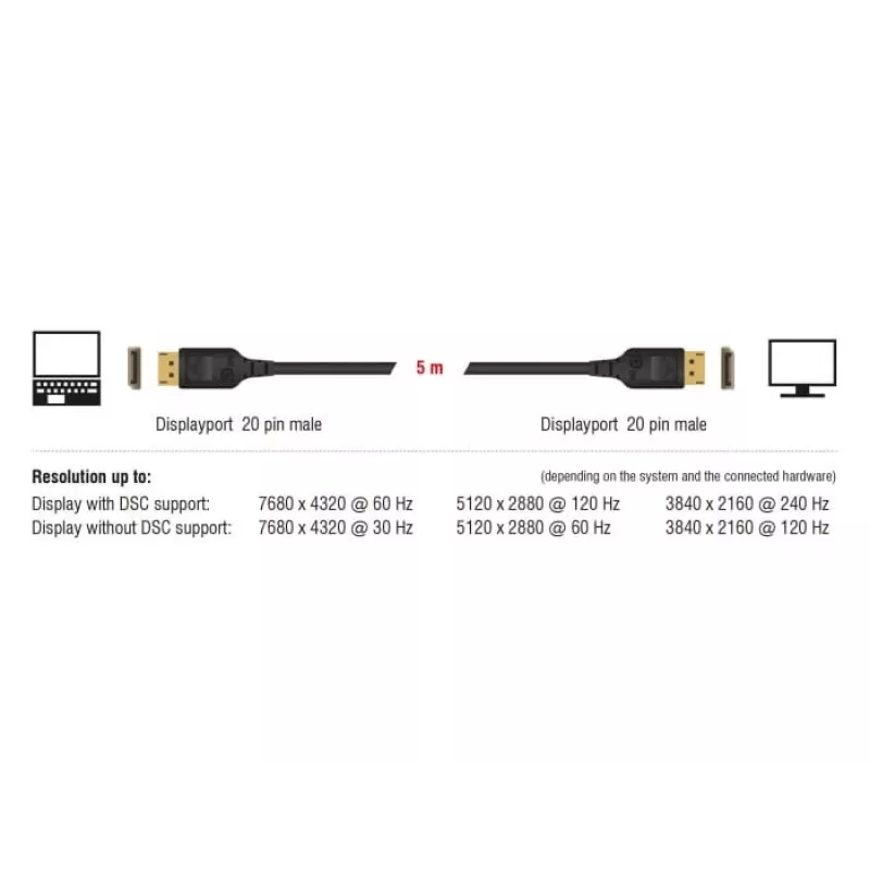 DisplayPort kabelis DeLOCK 85661 3 m Juodas