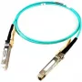 Optinis kabelis Cisco SFP-25G-AOC10M= 10 m SFP28 vyriškas/vyriškas