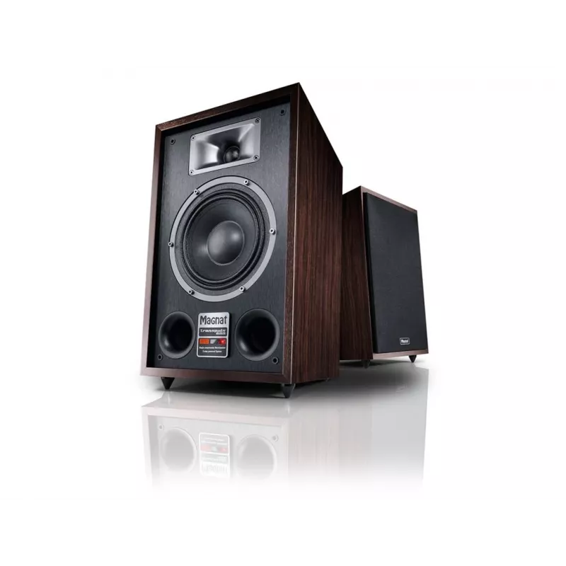 Grindinė kolonėlė Magnat TRANSPULS 800A 2 krypčių laidinė ir belaidė 2×60 W, Bluetooth 5.0, HDMI, juoda/ruda