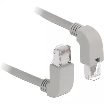 DeLOCK 85871 tinklo kabelis Cat6a S/FTP 1 m pilkas