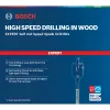 Bosch Expert 2 608 900 349 plokščiasis grąžtas 2,4 cm 1 vnt.