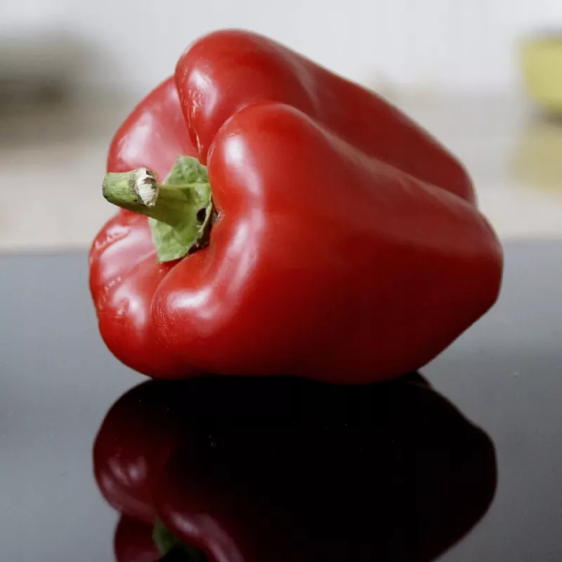 Sėklų pakelis Seklos LT Paprika Jolanta 0,5 g – saldžiųjų paprikų sėklos auginimui