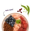 BOSCH Sanabelle Adult Ostrich & Blueberries - sausas kačių ėdalas - 2kg