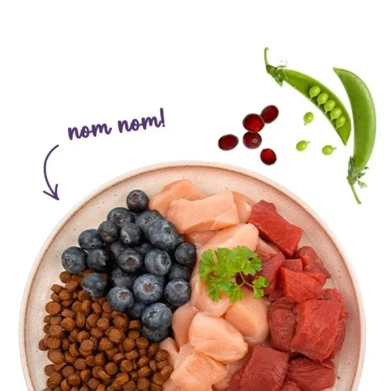 BOSCH Sanabelle Adult Ostrich & Blueberries - sausas kačių ėdalas - 2kg