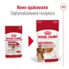 ROYAL CANIN SHN Medium Adult padaže – šlapias ėdalas suaugusiems vidutinių veislių šunims – 10x140g