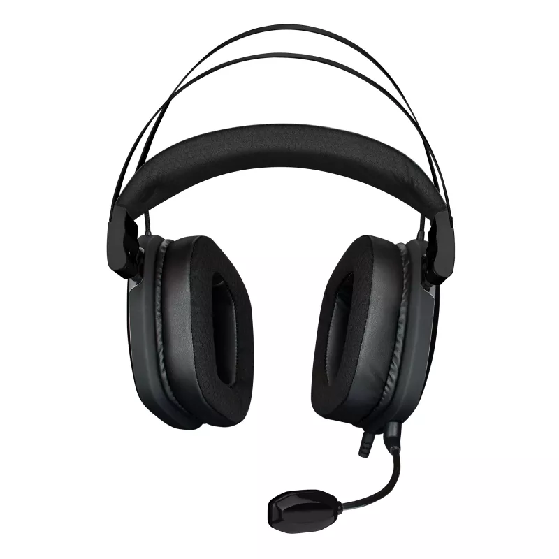 Ausinės White Shark GH-2446 Gottan Black