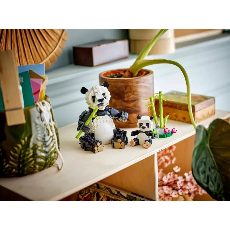 LEGO CREATOR 3 IN 1 31165 Pandų šeima