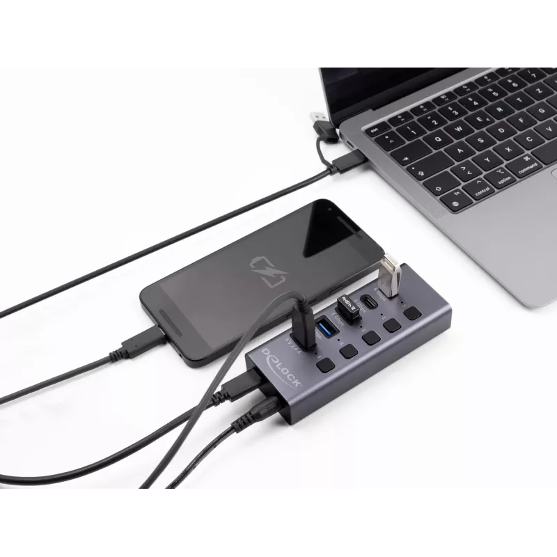USB šakotuvas Delock 64248 5 Gbps 2 x Type-A 2 x Type-C 1 greito įkrovimo prievadas