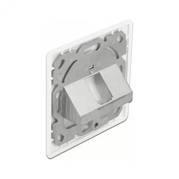 Sieninis lizdas Keystone 1 prievadas DeLOCK 86981