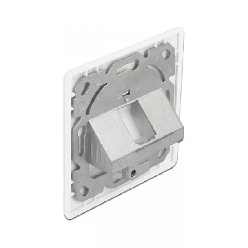 Sieninis lizdas Keystone 1 prievadas DeLOCK 86981