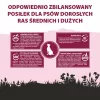 PUPIL Premium Vidutinėms ir didelėms veislėms Gausu jautienos - sausas šunų ėdalas - 12kg