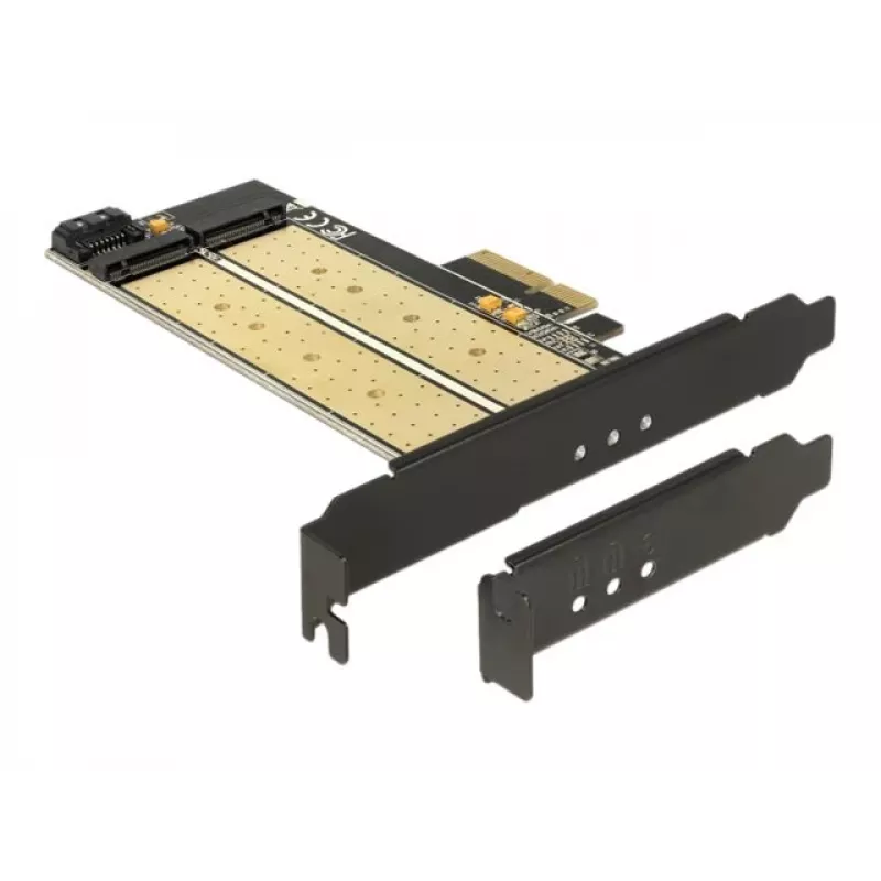 DeLOCK 89630 PCIe kortelė su dviem M.2 lizdais (SATA + PCIe)
