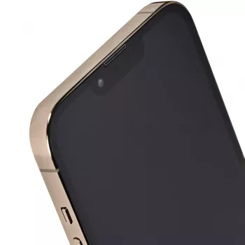 Apple iPhone 13 Pro Max 128GB Auksinis (REMADE by 2Bnew) 2 metų garantija Atnaujintas