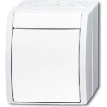 BUSCH-JAEGER Tarpinis jungiklis 2601/7W-54 ocean Alpine White IP44