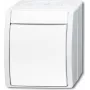 BUSCH-JAEGER Tarpinis jungiklis 2601/7W-54 ocean Alpine White IP44