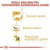 Royal Canin BHN West Highland White Terrier Adult - sausas ėdalas suaugusiems šunims - 3kg
