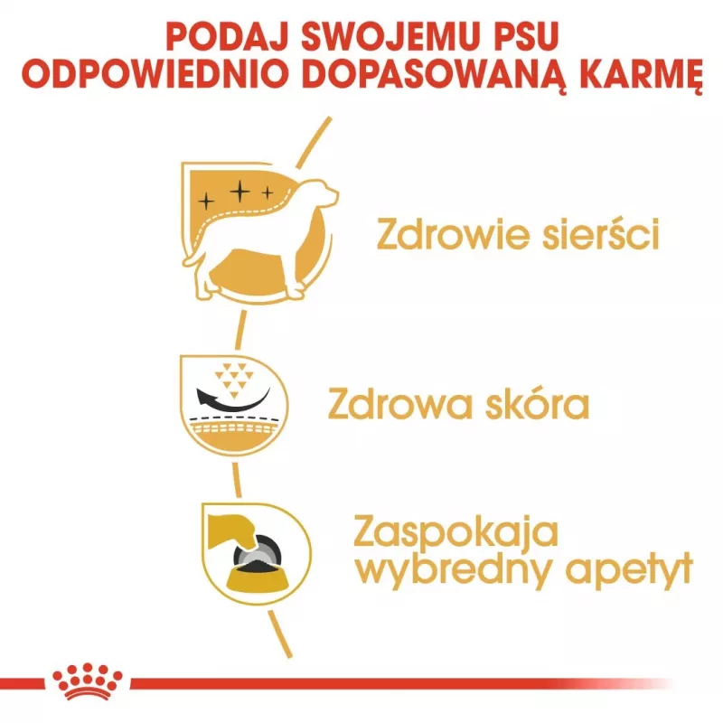 Royal Canin BHN West Highland White Terrier Adult - sausas ėdalas suaugusiems šunims - 3kg